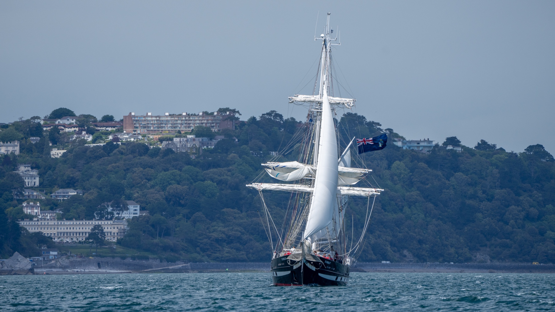 TS Royalist TS Royalist
