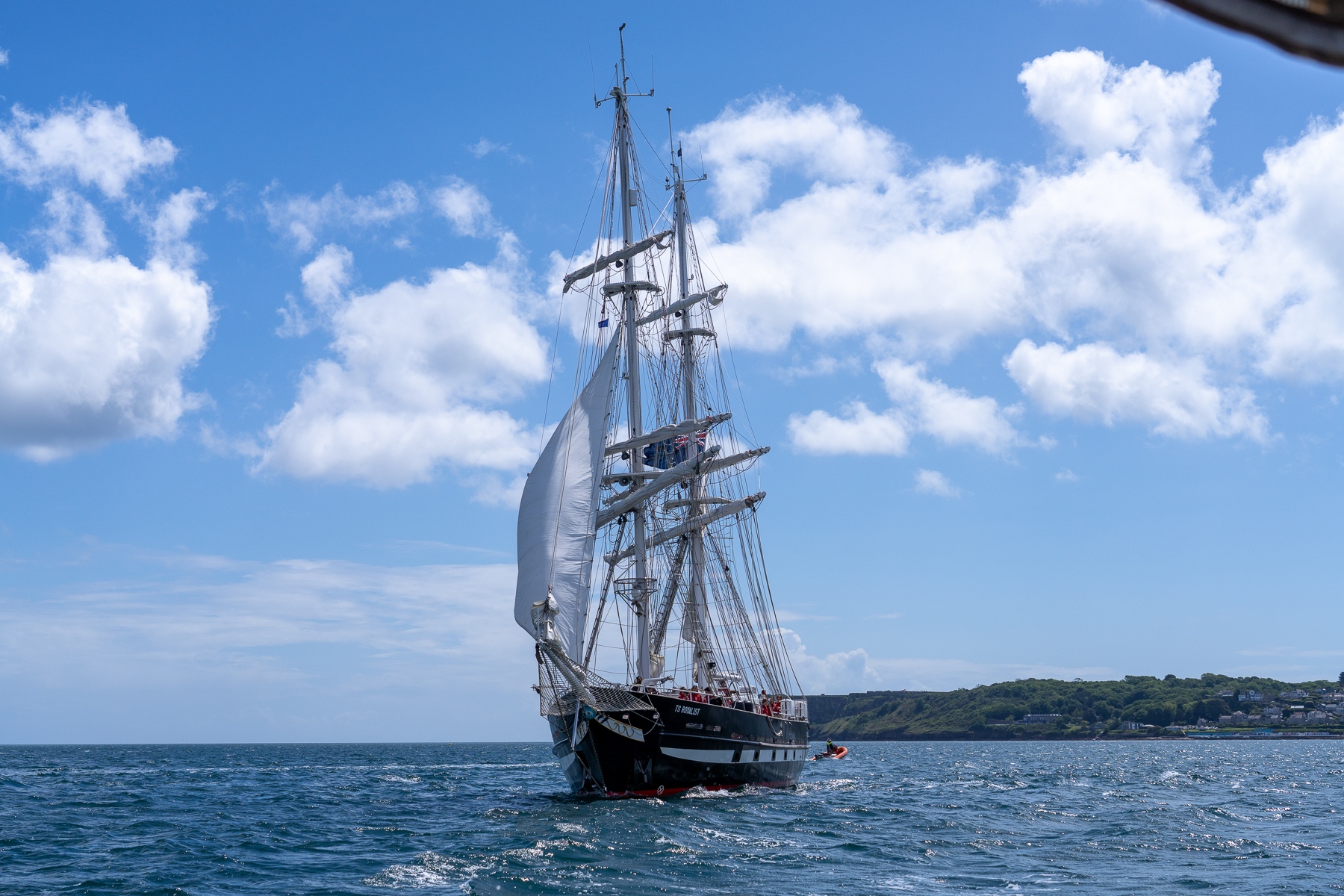 TS Royalist TS Royalist